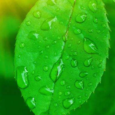 Bsports网页版登录